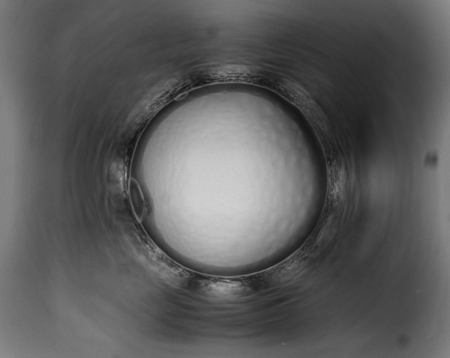 X0000115620669200911241625