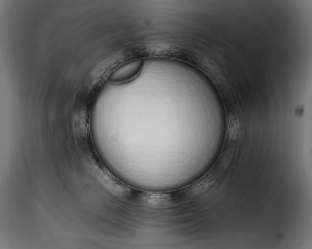 X0000115620670200911241625