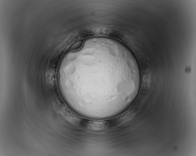 X0000115620671200911241625