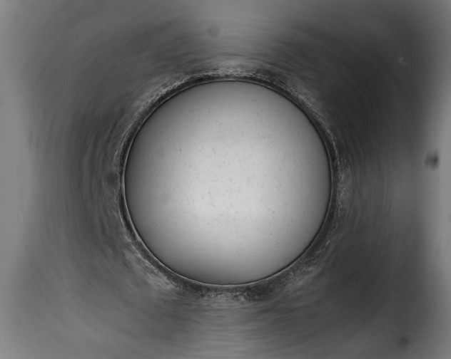 X0000115620673200911241624