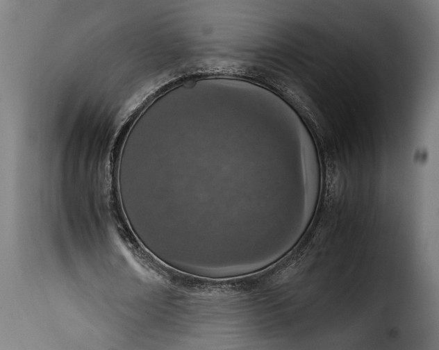 X0000115620674200911241624