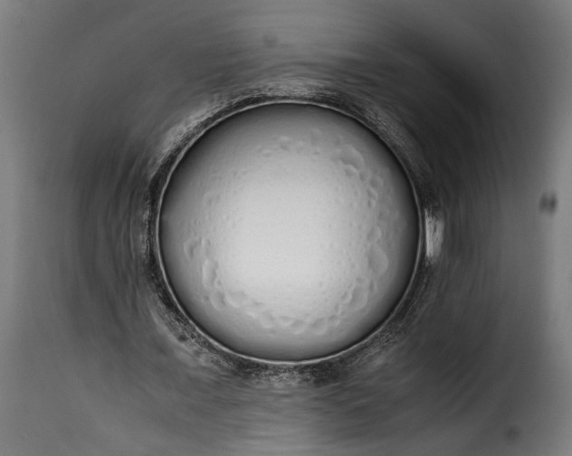 X0000115620675200911241624