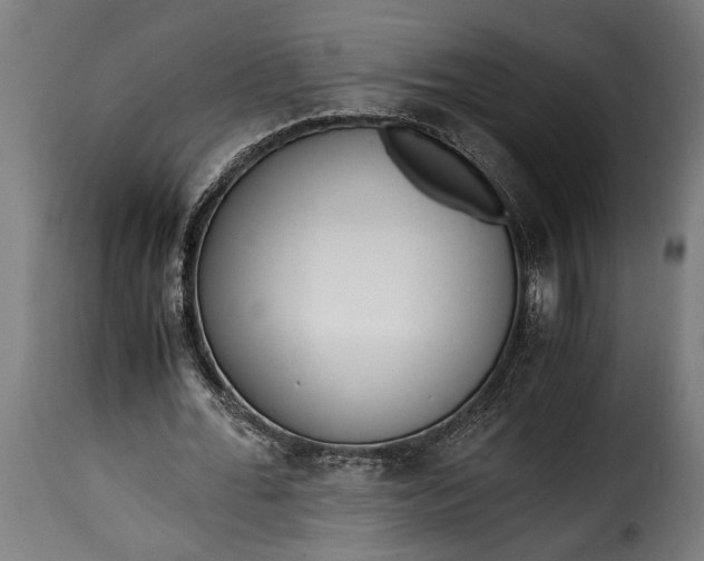 X0000115620676200911241624