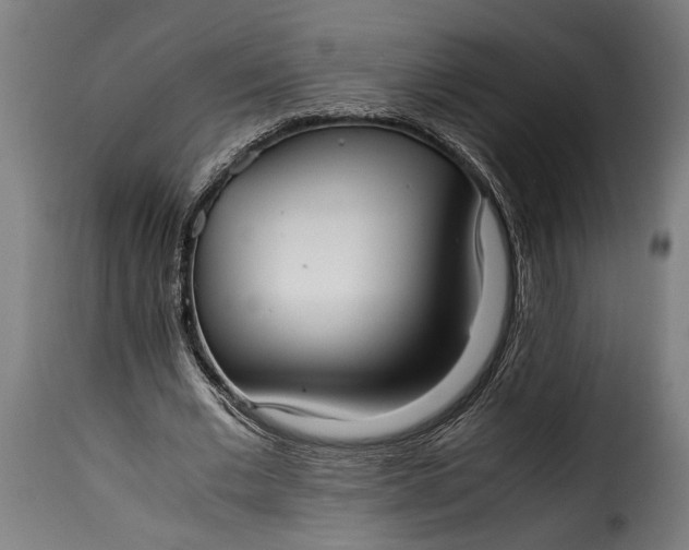 X0000115620677200911241624