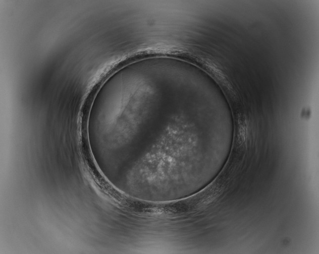 X0000115620678200911241624