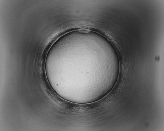 X0000115620679200911241624