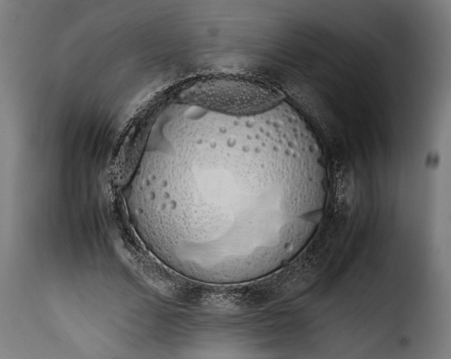 X0000115620680200911241624