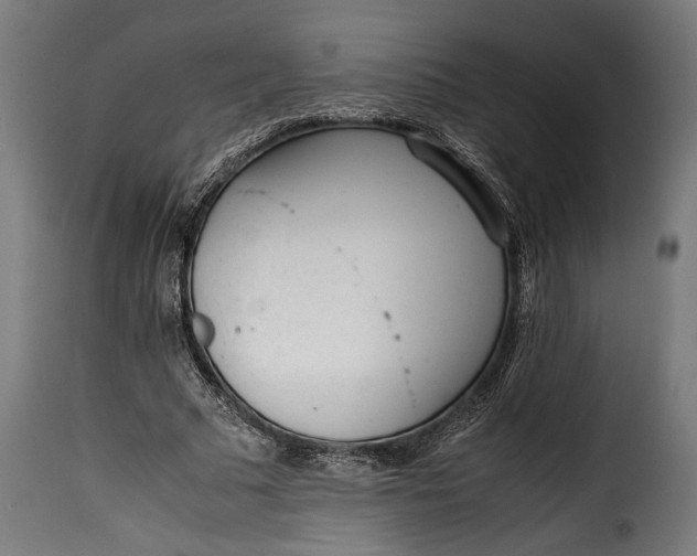 X0000115620681200911241624