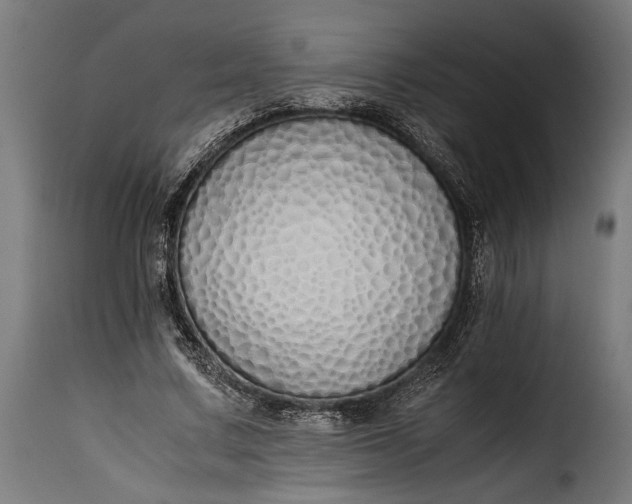 X0000115620683200911241624