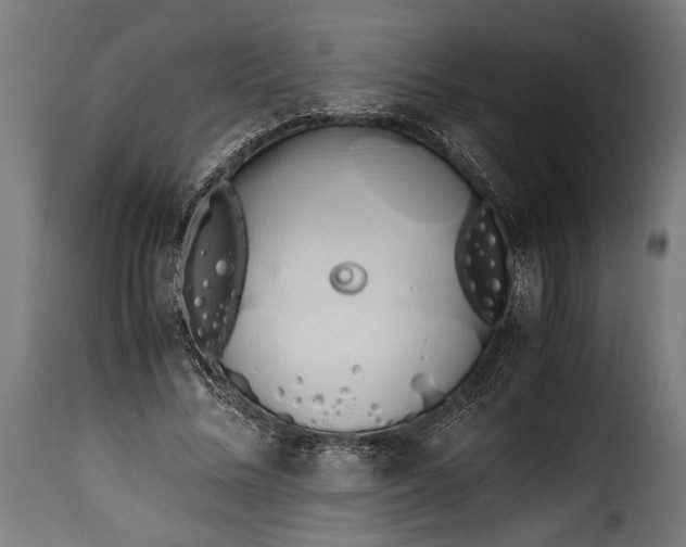 X0000115620684200911241624