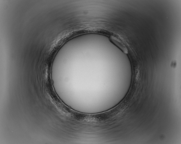 X0000115620685200911241624