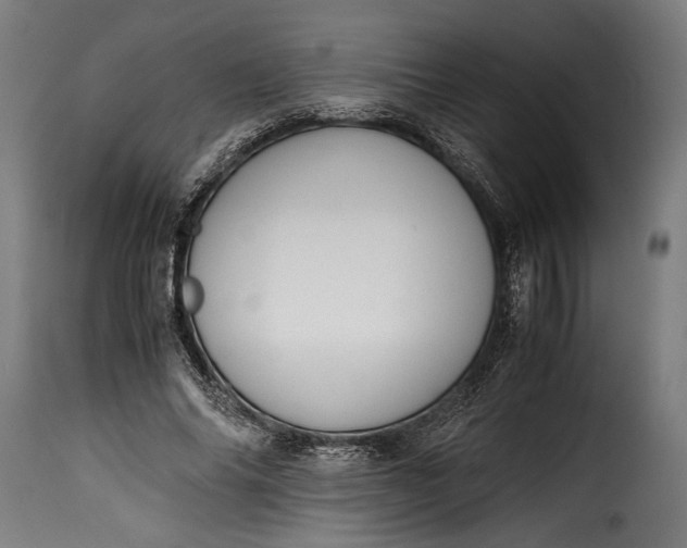 X0000115620686200911241624