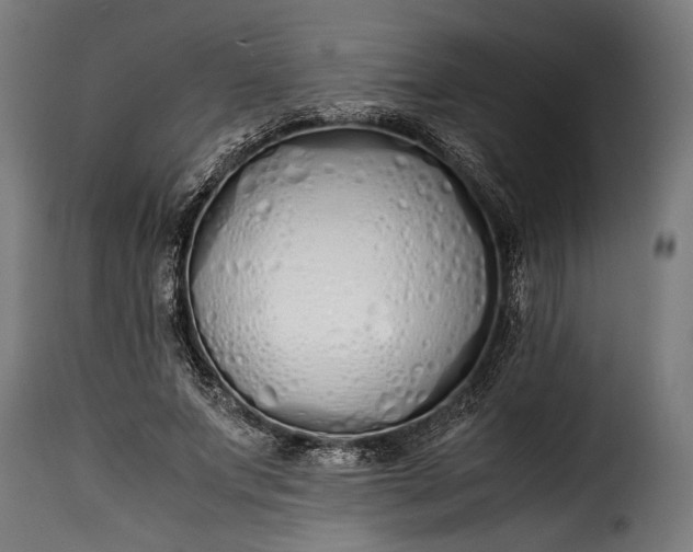 X0000115620687200911241624