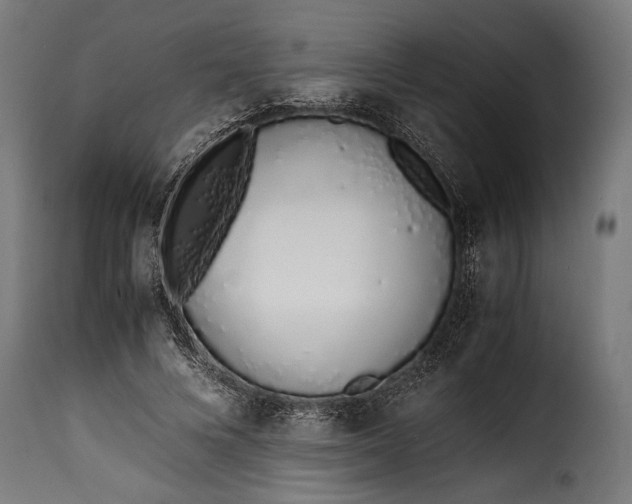 X0000115620688200911241624