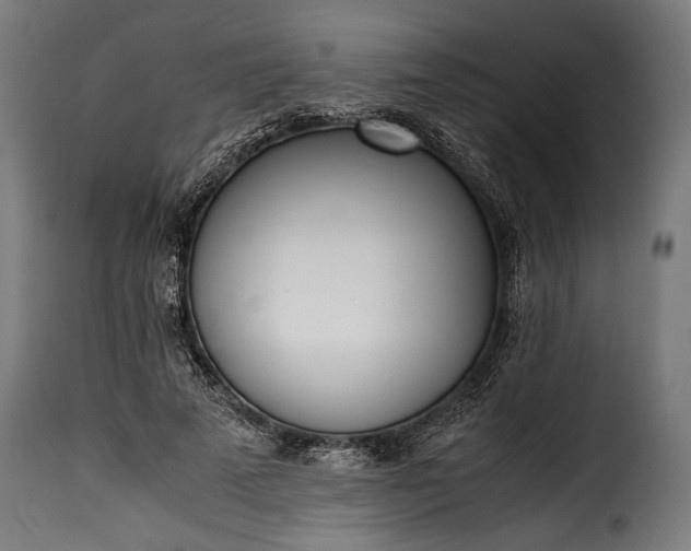 X0000115620689200911241624