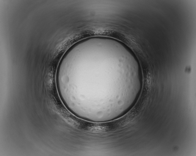 X0000115620691200911241624