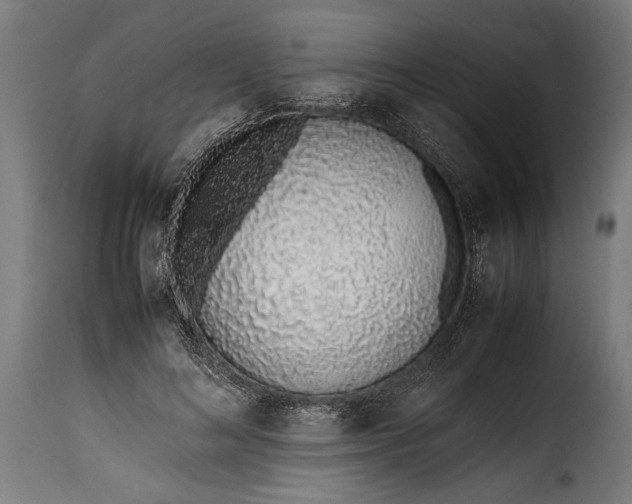 X0000115620692200911241624