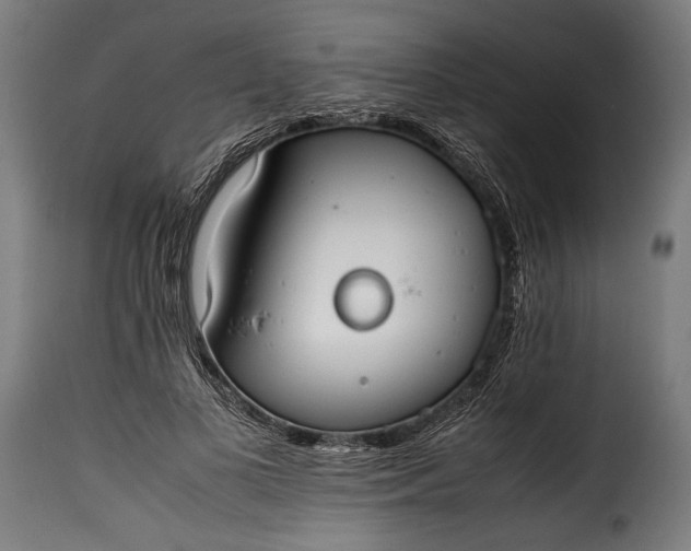 X0000115620693200911241624