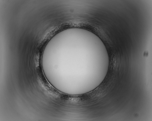 X0000115620694200911241624