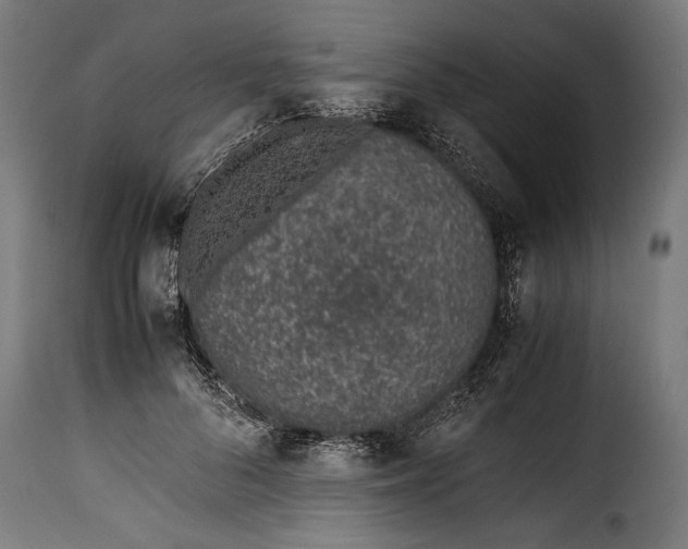 X0000115620696200911241624