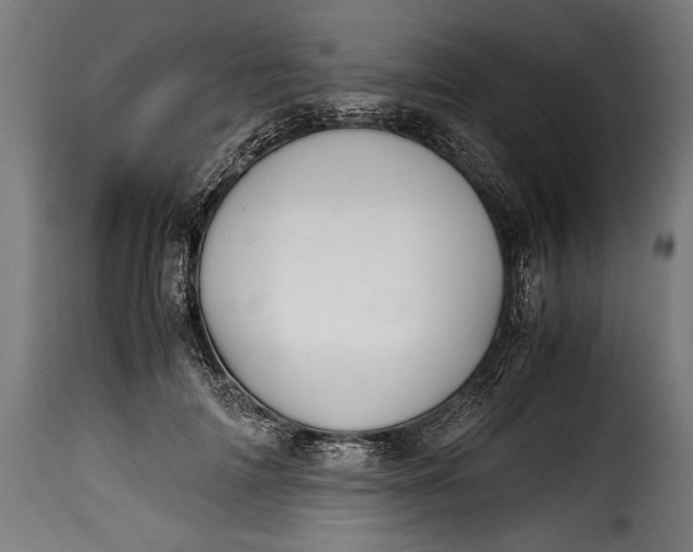 X0000115620698200911241624