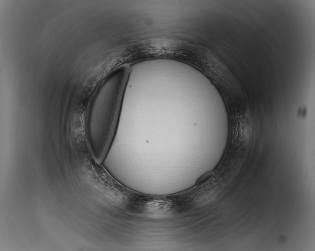 X0000115620700200911241624