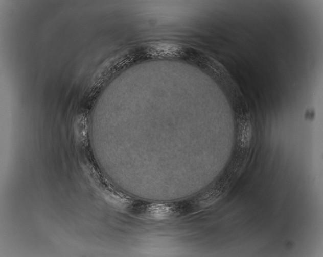 X0000115620701200911241624