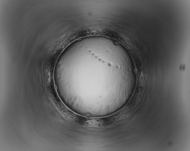 X0000115620703200911241624