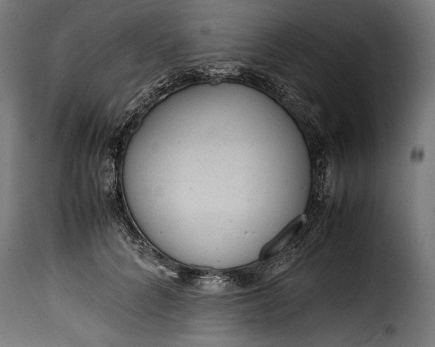 X0000115620704200911241624