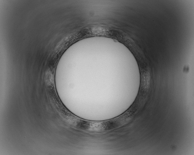 X0000115620705200911241624