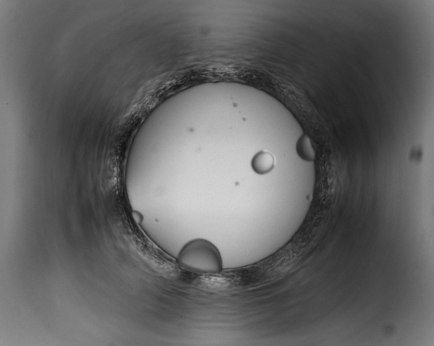 X0000115620706200911241624