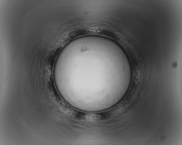 X0000115620707200911241624