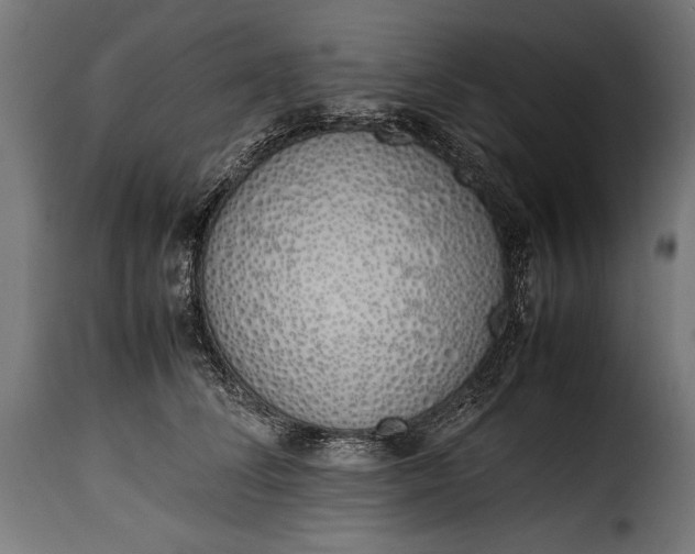 X0000115620708200911241624