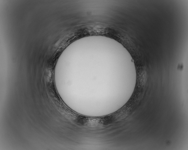 X0000115620709200911241624