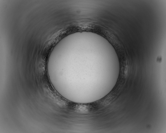 X0000115620710200911241624