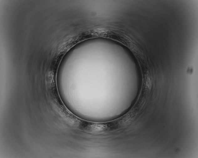 X0000115620711200911241624