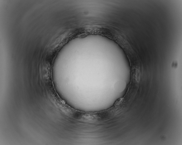 X0000115620712200911241624