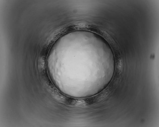 X0000115620715200911241624