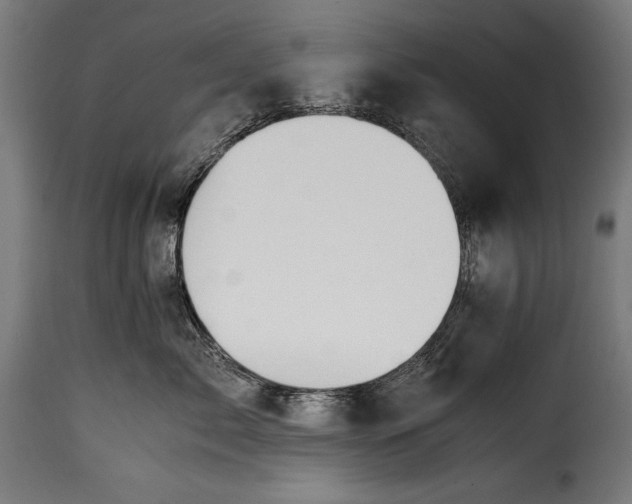 X0000115620717200911241624