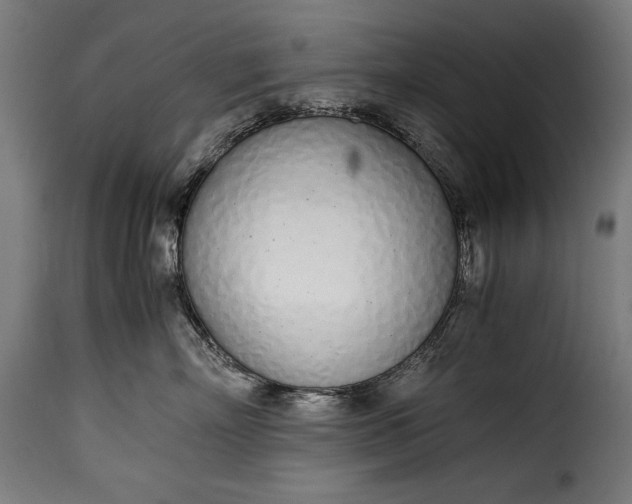 X0000115620718200911241624