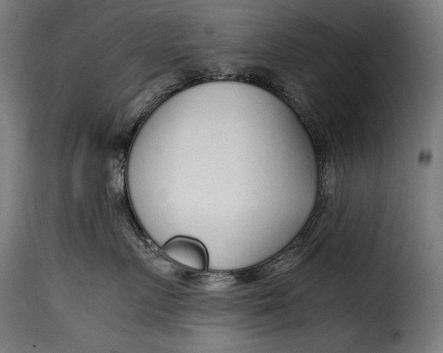 X0000115620719200911241624