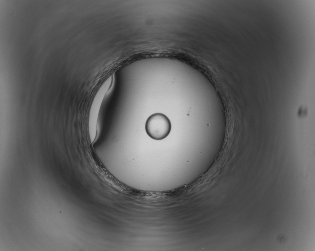 X0000115620720200911241624