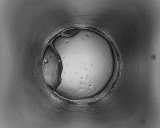 X0000115620721200911241623