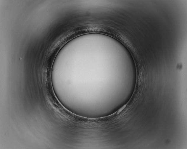 X0000115620722200911241623