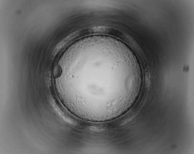 X0000115620725200911241623