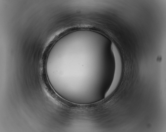 X0000115620726200911241623