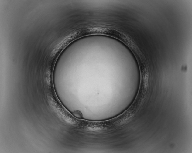 X0000115620729200911241623