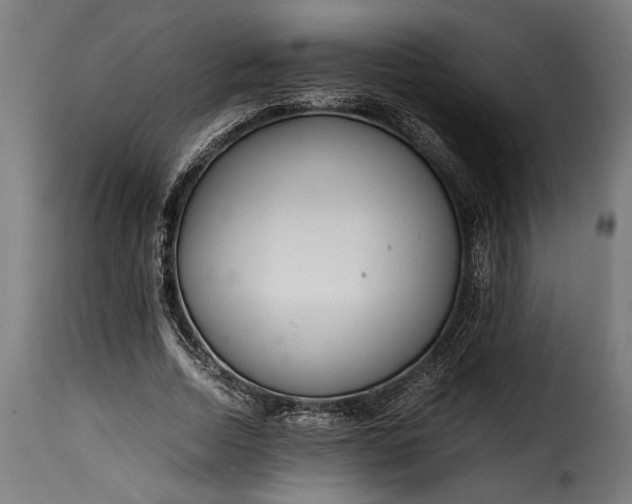 X0000115620730200911241623