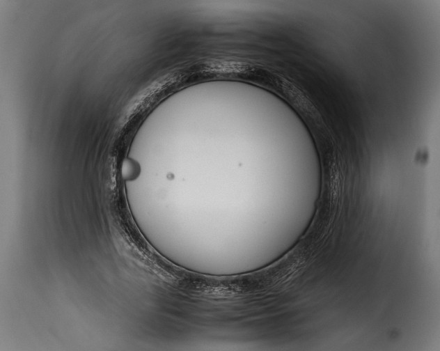 X0000115620731200911241623