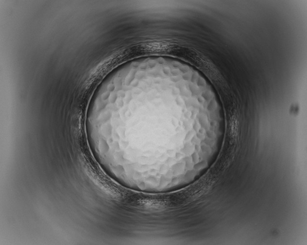 X0000115620733200911241623